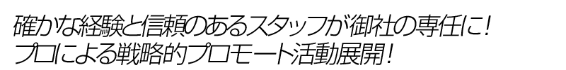 確かな経験と信頼のあるスタッフが御社の専任に!プロによる戦略的プロモート活動展開!